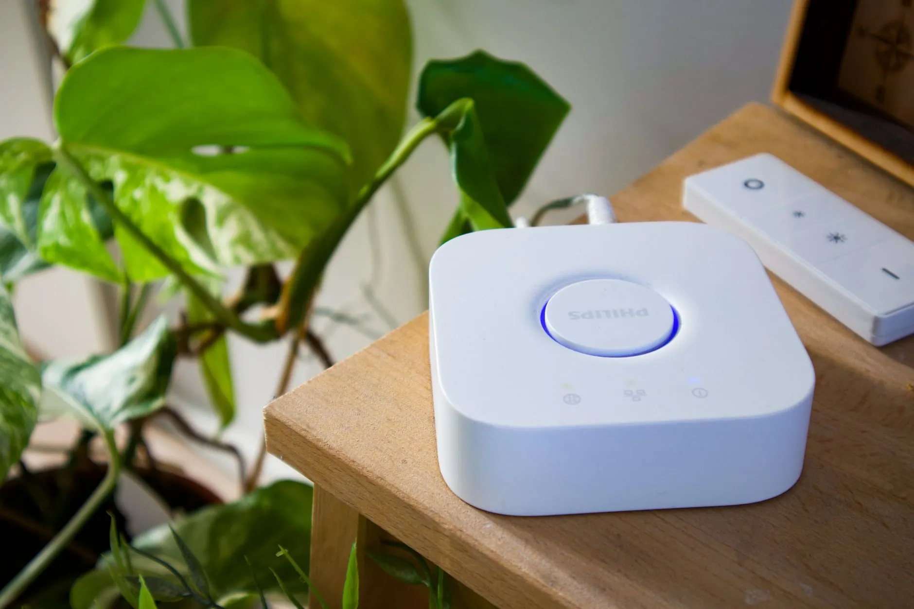 海南政企网络布线中配线架与理线架的选型要点