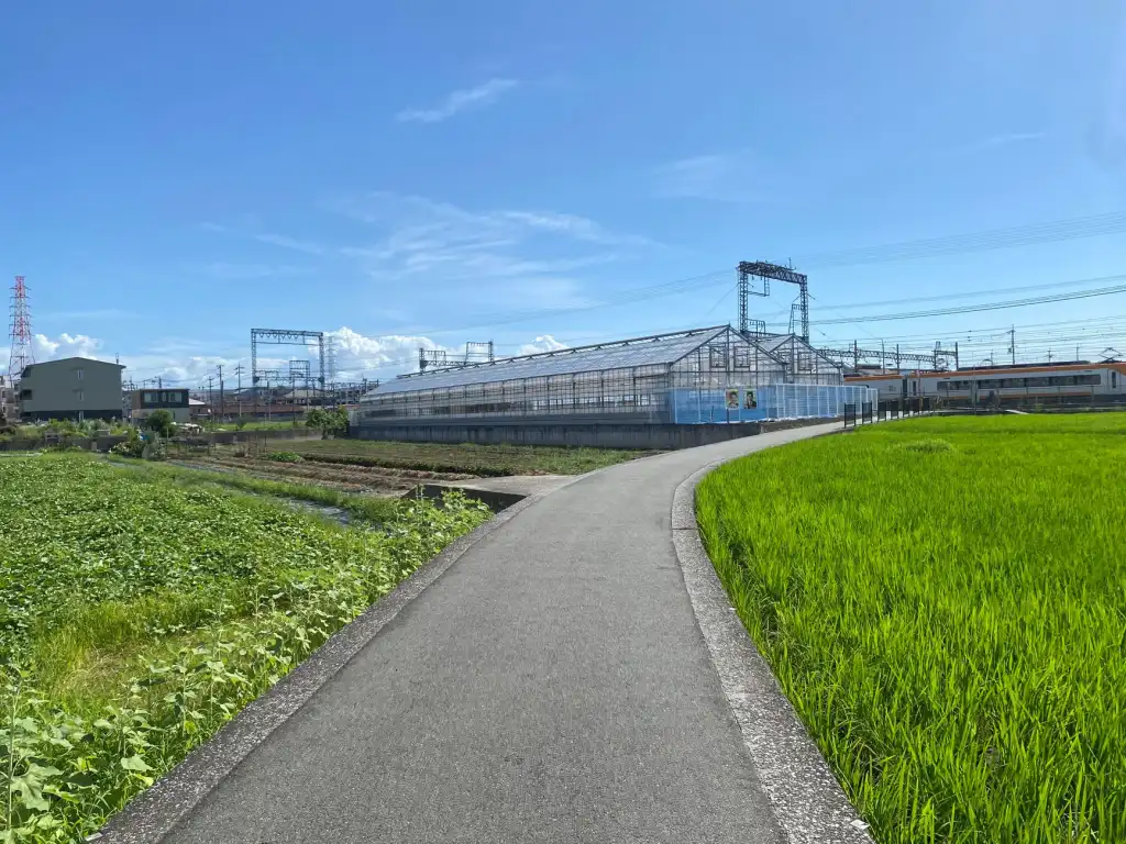 海南综合布线：网线选型与水晶头压接技术实操指南