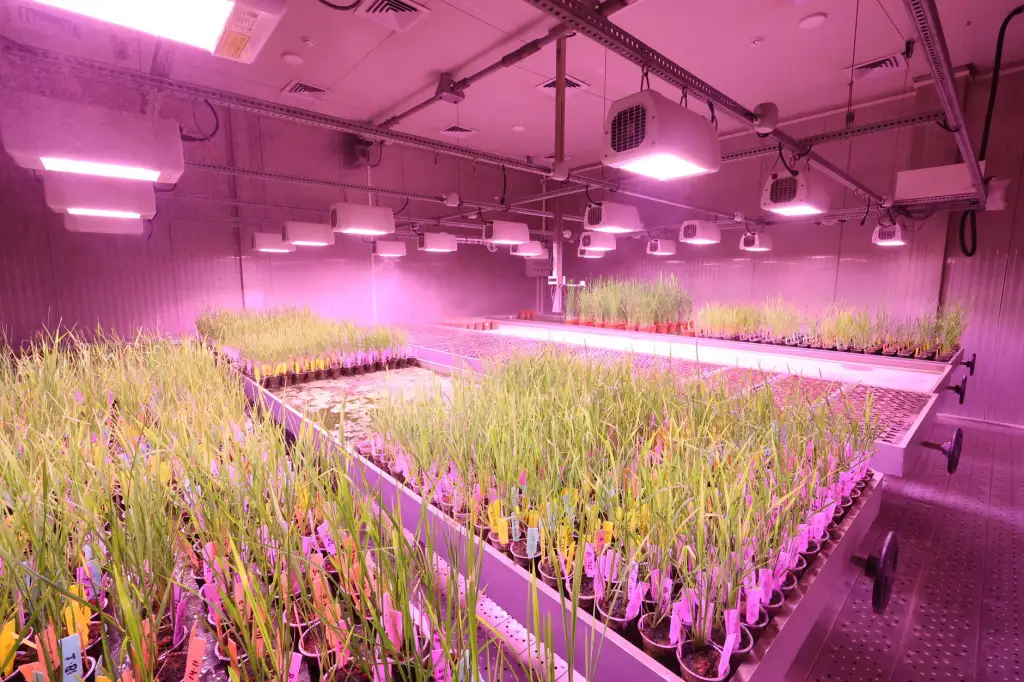 网线水晶头选型指南：三类常见接口的性能对比与适用场景
