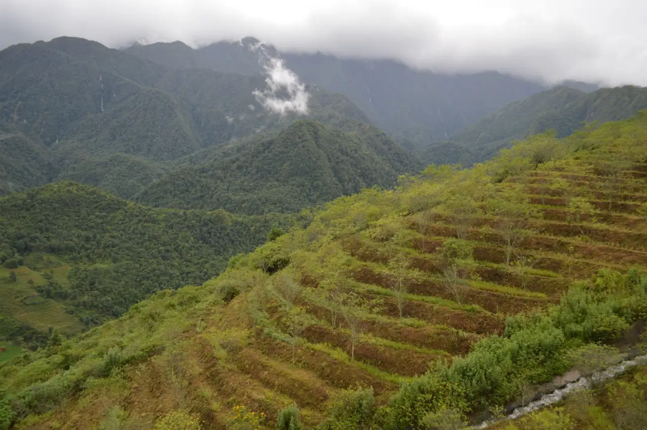 超六类网线与水晶头搭配安装规范及常见误区解析