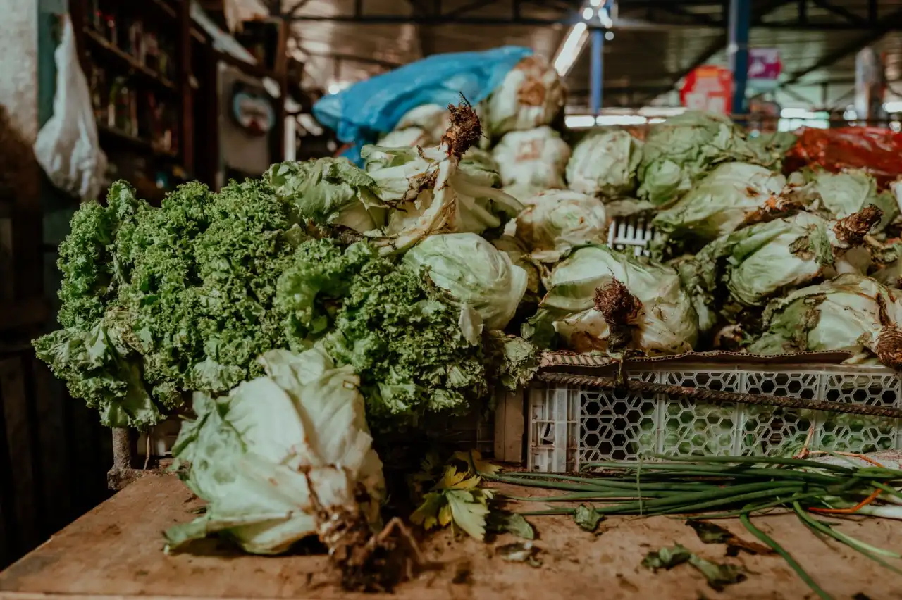 海南政企网络布线中配线架选型要点与规范解析
