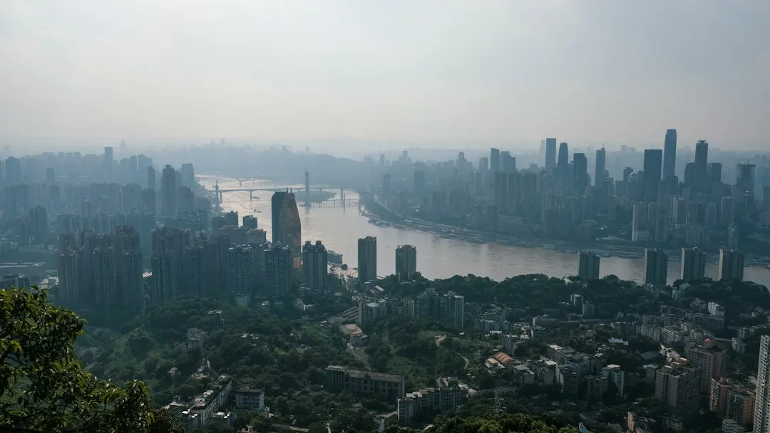 综合布线系统设计要点：配线架与理线架安装规范详解