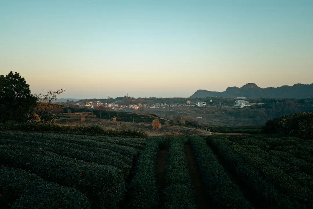 海南政企网络布线：网线与水晶头选型要点及常见误区分析